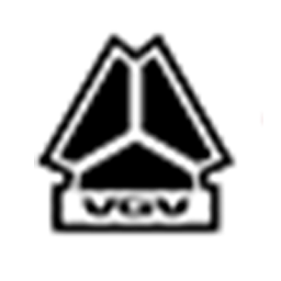 中国重汽VGV