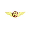 龙程汽车